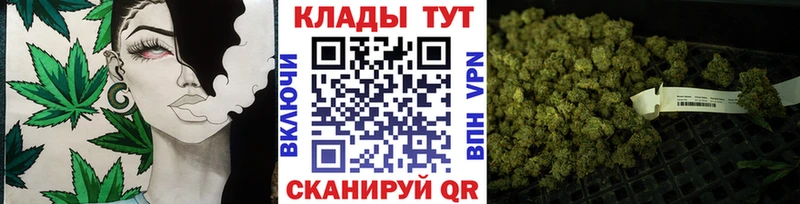 Купить наркотики Пошехонье Псилоцибиновые грибы Мефедрон Гашиш