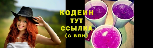 крисы Осинники