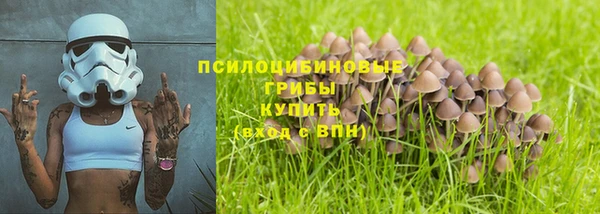 крисы Осинники